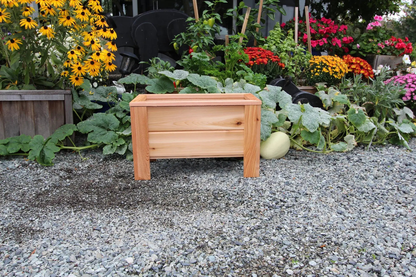 1224 - 24″L x 12"W x 15″H – Western Red Cedar Raised Flower Planter The Planter Guy Alberta