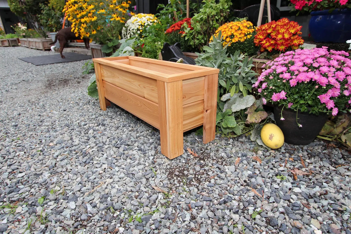 1236 - 36″L x 12"W x 15″H – Western Red Cedar Raised Flower Planter The Planter Guy Alberta