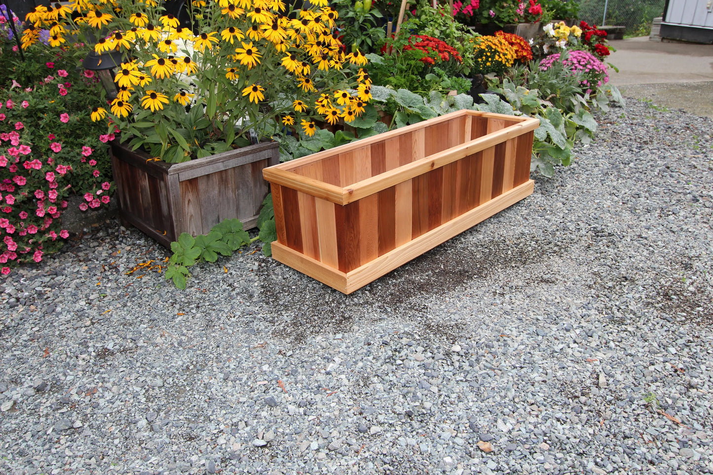 1648 - 48"L x 16"W x 16"H Western Red Cedar Raised Garden Planter