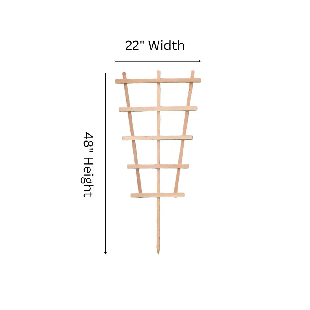 FT4 Fan Trellis - 48"H x 22"W Outdoor trellis