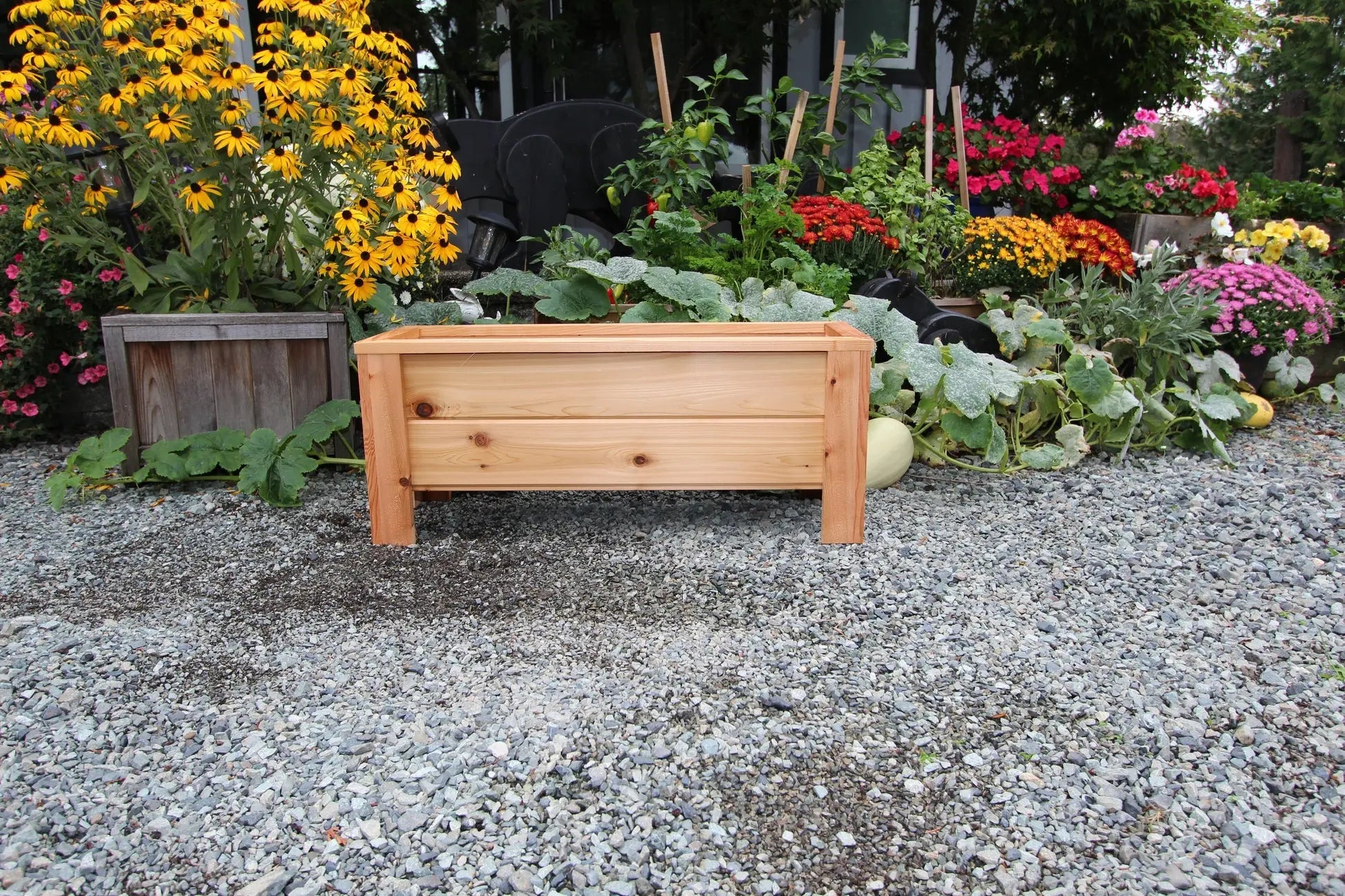 1236 - 36″L x 12"W x 15″H – Western Red Cedar Raised Flower Planter   The Planter Guy Alberta