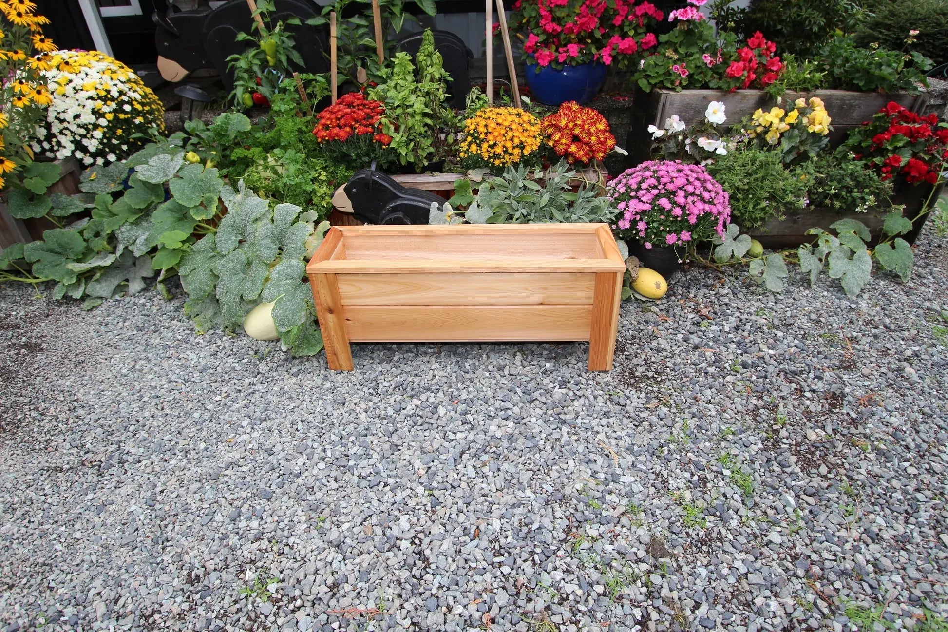 1236 - 36″L x 12"W x 15″H – Western Red Cedar Raised Flower Planter   The Planter Guy Alberta