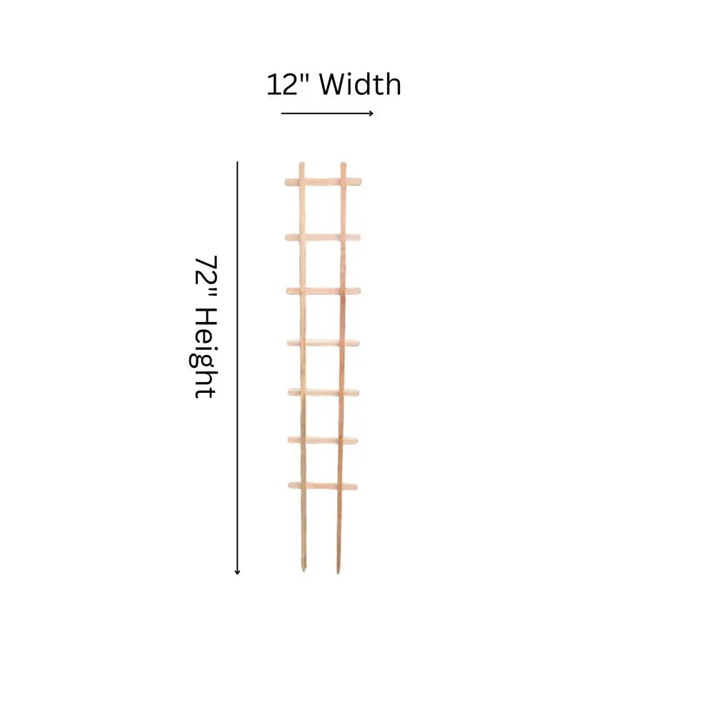 ST612 Straight Trellis - 72" H x 12" W  Trellis The Planter Guy Alberta